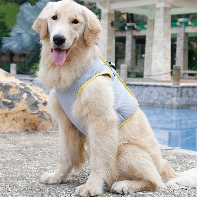 Dog Cooling Vest for Heatstroke Prevention