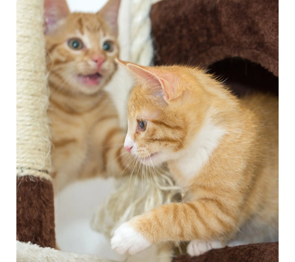 Petmaker 3-Tier Cat Tower Napping Perches Kitty Condo