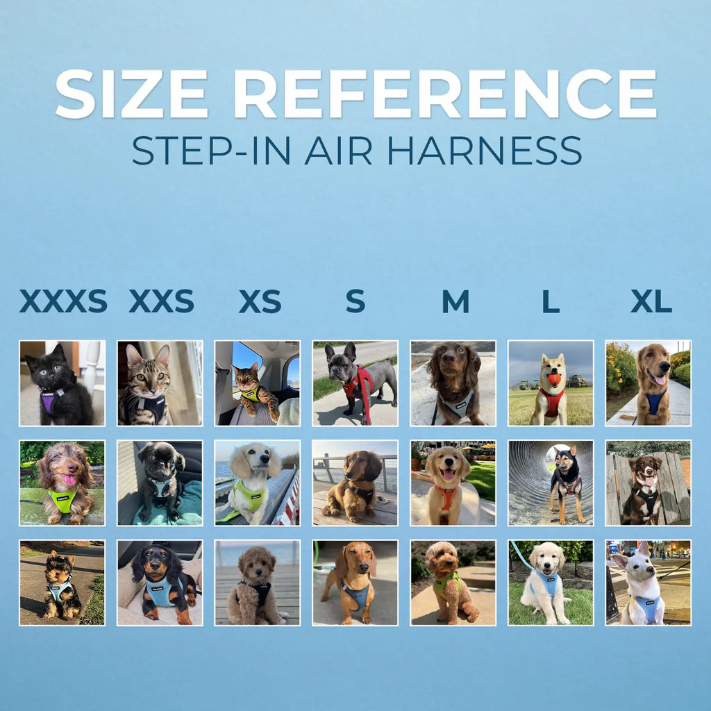 Voyager Step-In Air Dog Harness No Pull - Breathable All Weather Mesh, Lightweight Adjustable Vest for Small Medium Dogs & Cats - Reflective, Triple Security, Easy Step-In Design by Best Pet Supplies