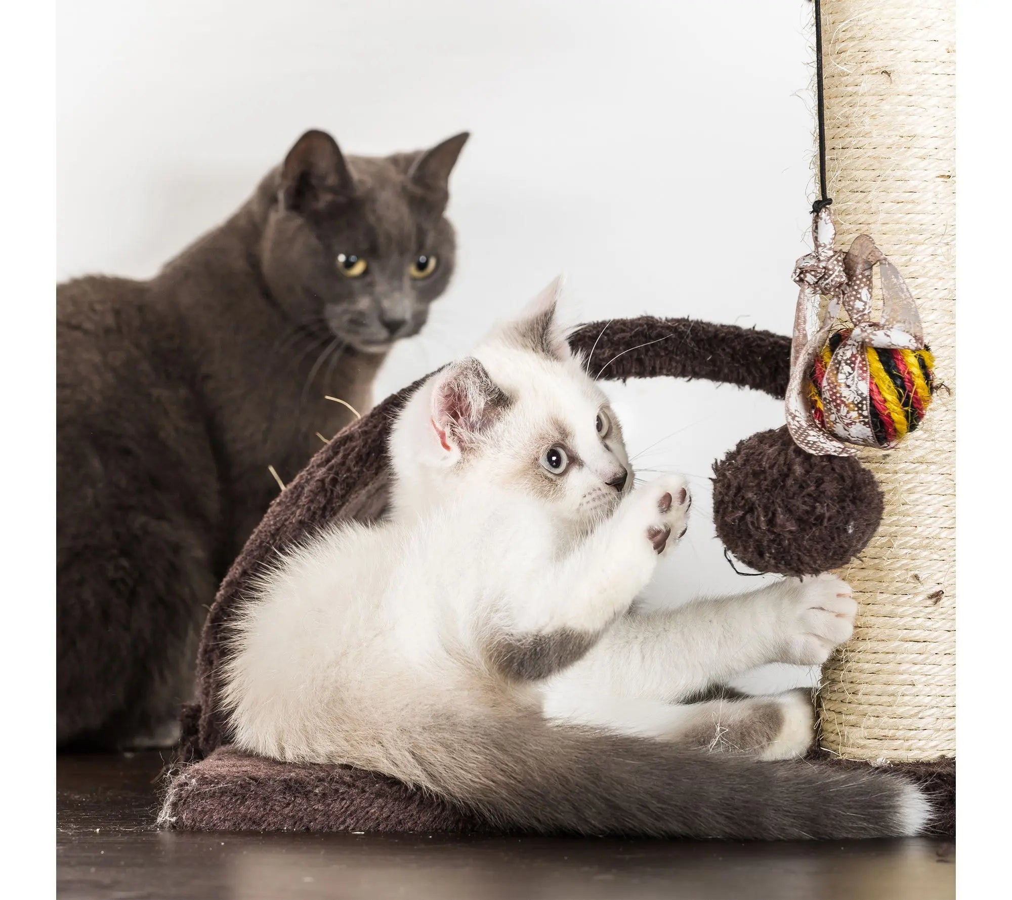 Petmaker 3-Tier Cat Tower Napping Perches Kitty Condo