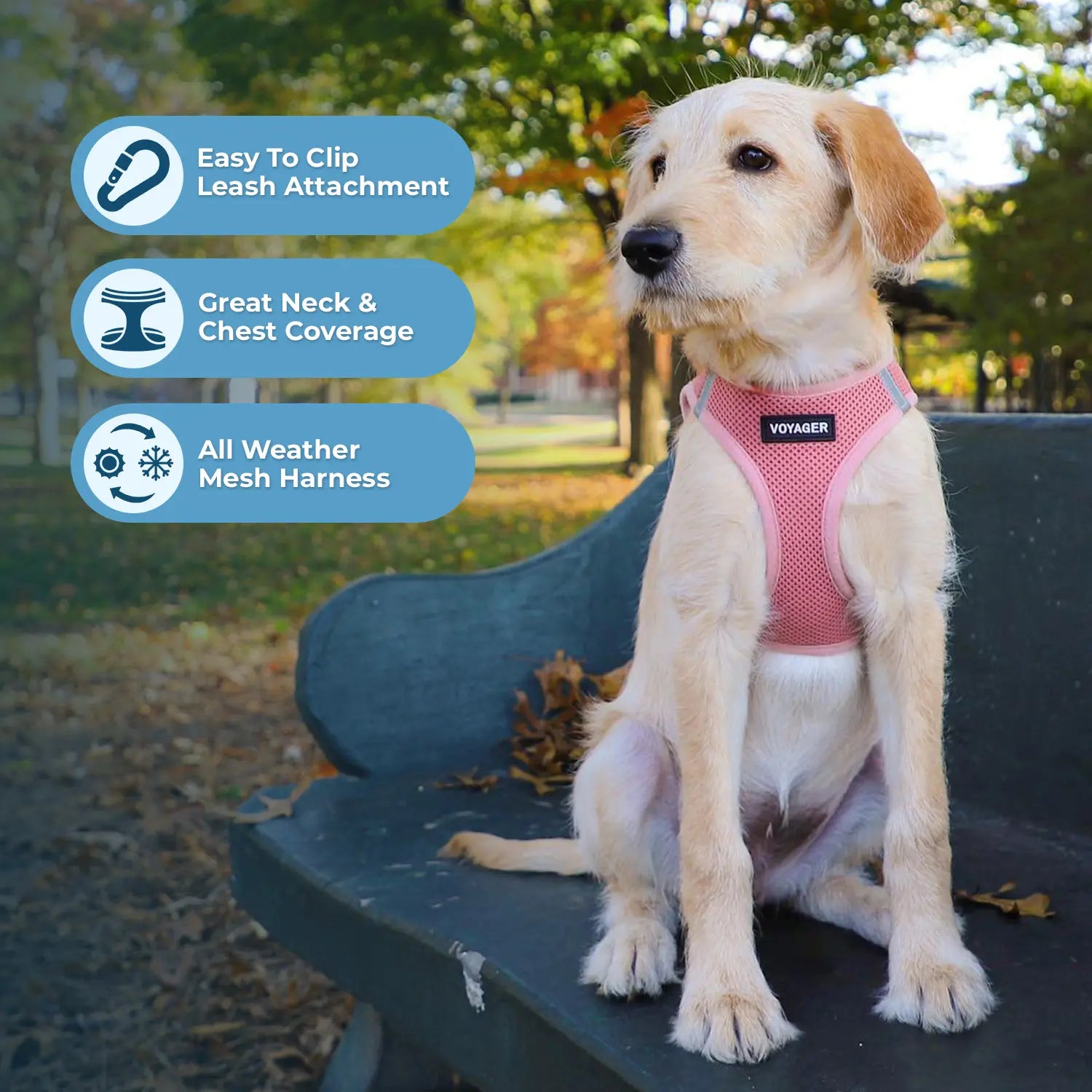 Voyager Step-In Air Dog Harness No Pull - Breathable All Weather Mesh, Lightweight Adjustable Vest for Small Medium Dogs & Cats - Reflective, Triple Security, Easy Step-In Design by Best Pet Supplies
